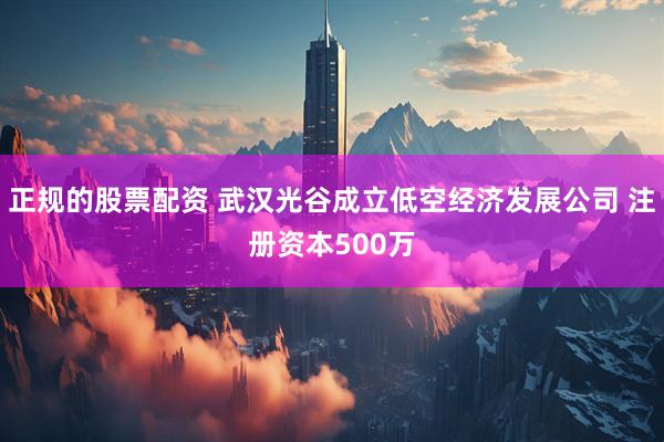 正规的股票配资 武汉光谷成立低空经济发展公司 注册资本500万