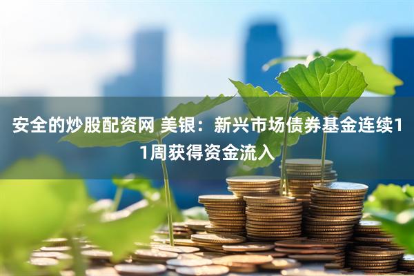 安全的炒股配资网 美银：新兴市场债券基金连续11周获得资金流入