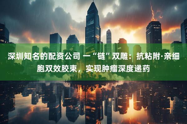 深圳知名的配资公司 一“链”双雕：抗粘附·亲细胞双效胶束，实现肿瘤深度递药