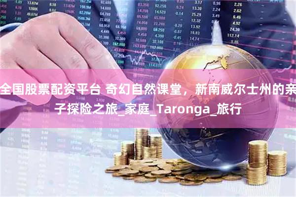 全国股票配资平台 奇幻自然课堂，新南威尔士州的亲子探险之旅_家庭_Taronga_旅行