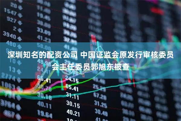 深圳知名的配资公司 中国证监会原发行审核委员会主任委员郭旭东被查